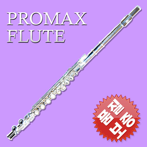 PROMAX FLUTE 프로맥스 플룻 PF-100S